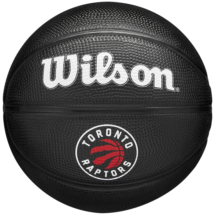 Мяч баскетбольный Wilson TORONTO RAPTORS Mini photo 