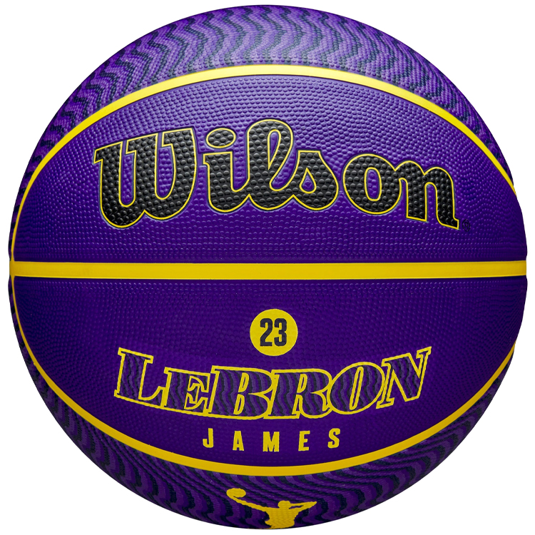Minge basket Wilson NBA PLAYER ICON OUTDOOR BSKT LEBRON NE 7 photo 1 Minge basket Wilson NBA PLAYER ICON OUTDOOR BSKT LEBRON NE 7 photo 1