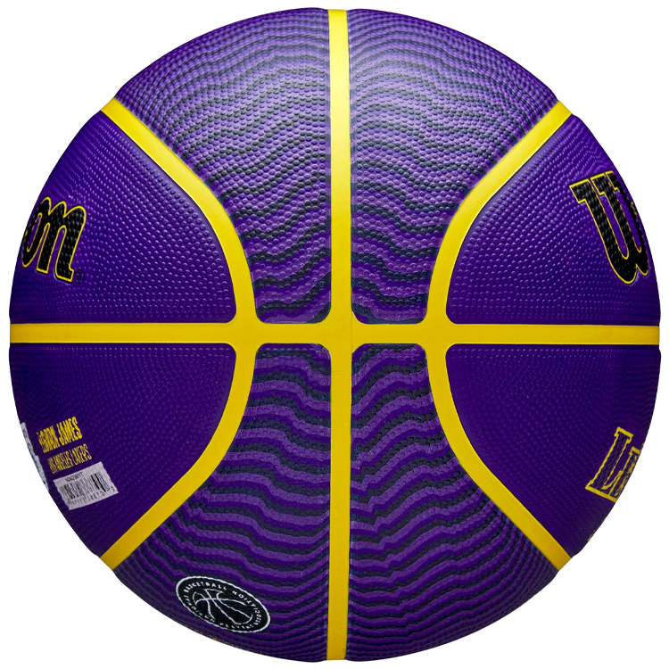 Minge basket Wilson NBA PLAYER ICON OUTDOOR BSKT LEBRON NE 7 photo 3
