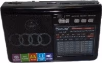 Radio Golon RX-1315BT 