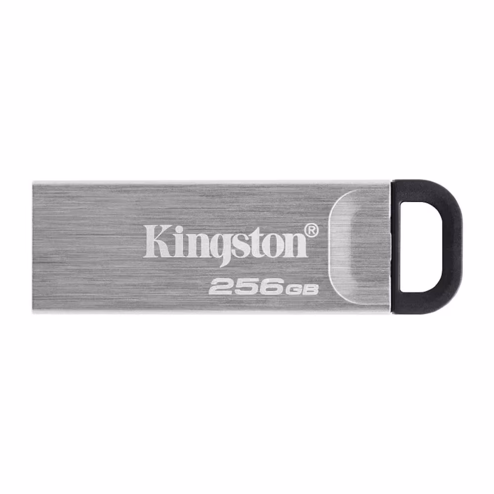 USB Флэш Kingston DTKN256GB 