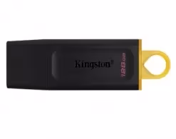 USB Flash Kingston DTX128GB