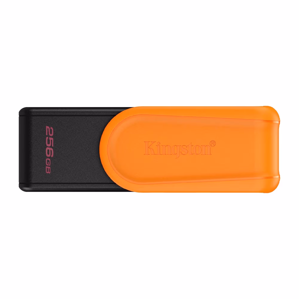 USB Флэш Kingston DTXS256GB 