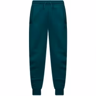 Брюки Nike JDB MJ FLIGHT MVP HBR FLC PANT