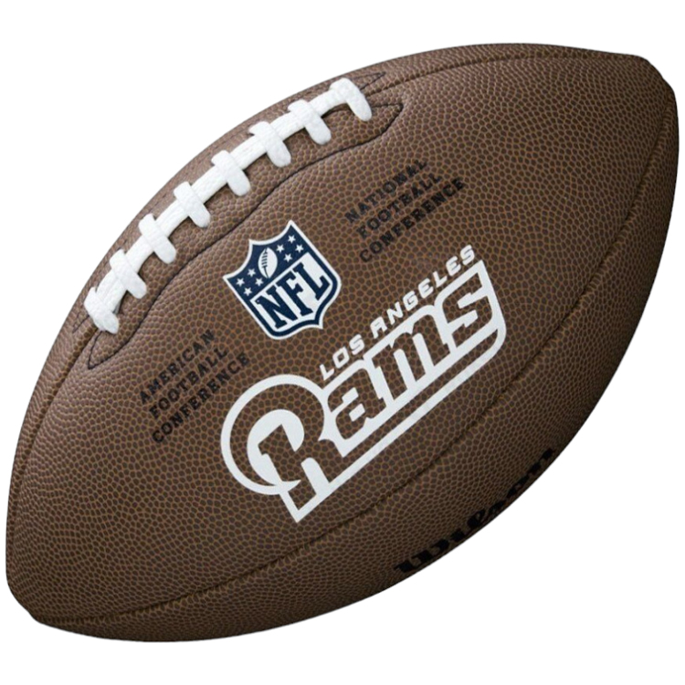 Мяч для регби Wilson NFL Team Logo FB photo 2