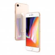 Смартфон Apple iPhone 8 2/256GB Gold thumbnav 4
