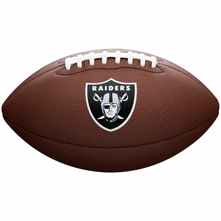 Minge p/rugbi Wilson NFL Team Logo LV