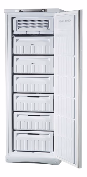Congelator Indesit SFR 167 NF, 220 l, 167 cm, D, Alb 